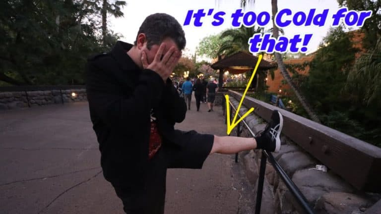 It's SO COLD at Animal Kingdom at Night