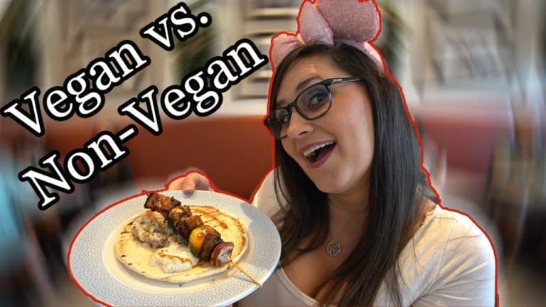 Princess and the Bear - Primo Piatto Vegan Vs Non-Vegan Quick Service Food Review