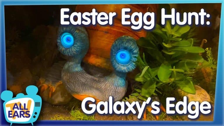 Hidden Details in Star Wars Galaxy's Edge & What Happens When Rise of the Resistance Breaks Down?