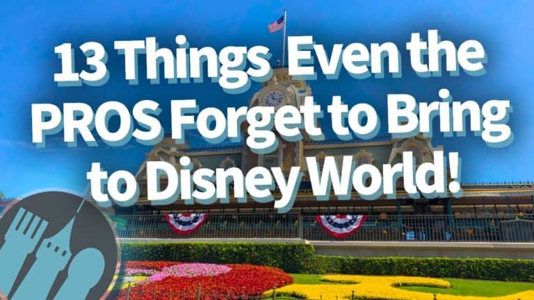 13 Things Even the Pros Forget to Bring to Disney World