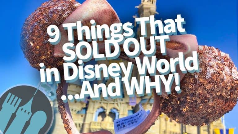 9 Things That SOLD OUT In Disney World...And WHY