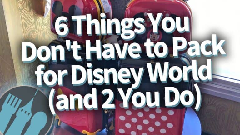 6 Things You Don't Have to Pack for Disney World, and 2 You Definitely Do!