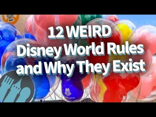 12 Weird Disney World Rules, and Why They Exist