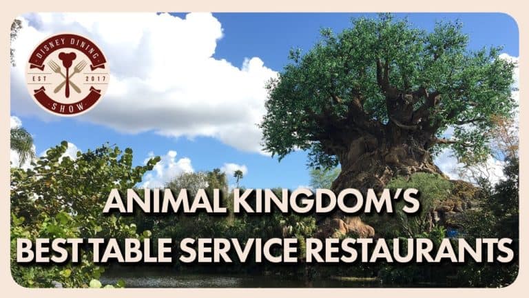 Animal Kingdom's Best Table Service Restaurants - Disney Dining Show