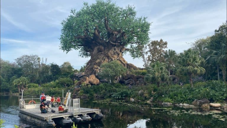 A Sunny Day Spent at Disney’s Animal Kingdom