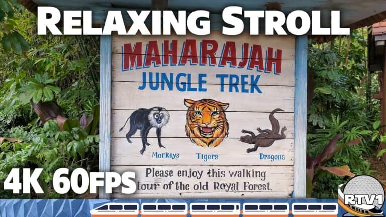 Relaxing Stroll through Maharajah Jungle Trek at Disney's Animal Kingdom