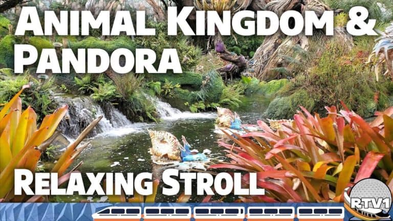 Relaxing Stroll - Animal Kingdom & Pandora