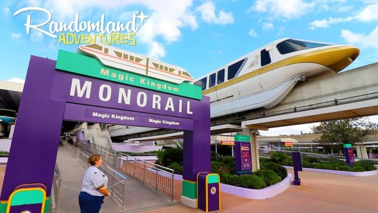 Disney World's FREE Rides - The Accidental Transportation Challenge! Plus! A Special Hidden Mickey.