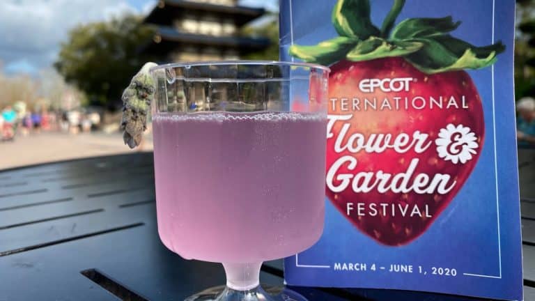 Epcot International Flower & Garden Alcoholic Drinks review