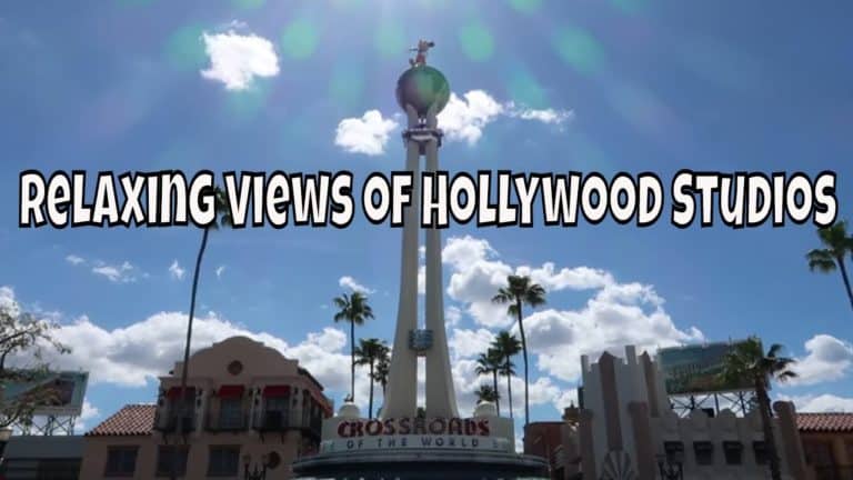 Relaxing Views of Hollywood Studios