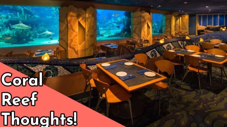 Coral Reef Restaurant, Epcot Future World West, Dining Review - IvyWinter