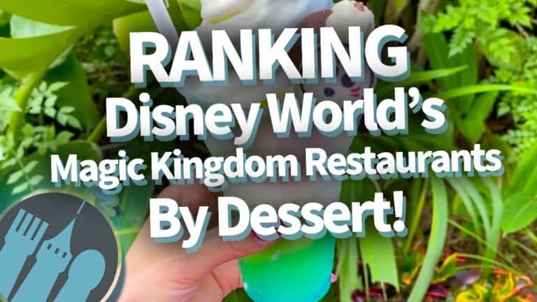 8 Ridiculous Decisions People Make In Disney World