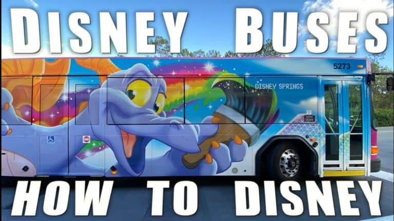How To Use Disney Bus Transportation - The WDW Couple