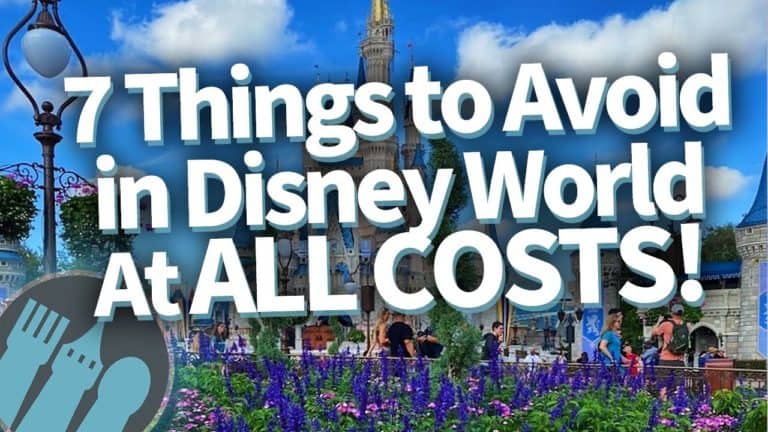 7 Things to Avoid in Disney World at All Costs!