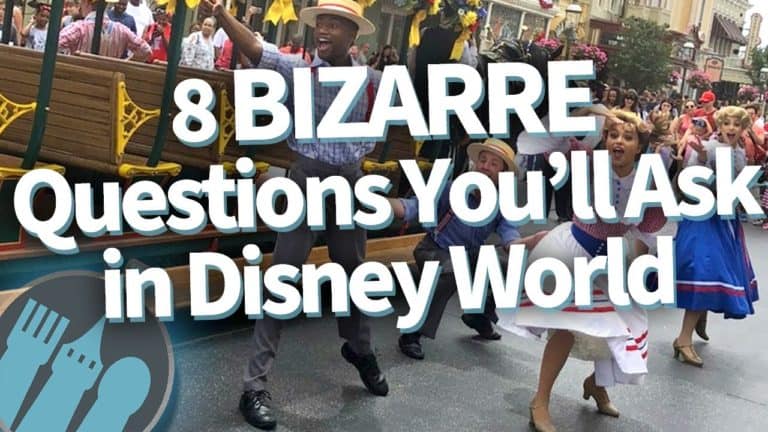 8 Bizarre Questions You'll Ask in Disney World!