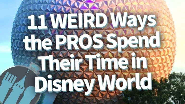 11 Weird Ways the Pros Spend Their Time in Disney World