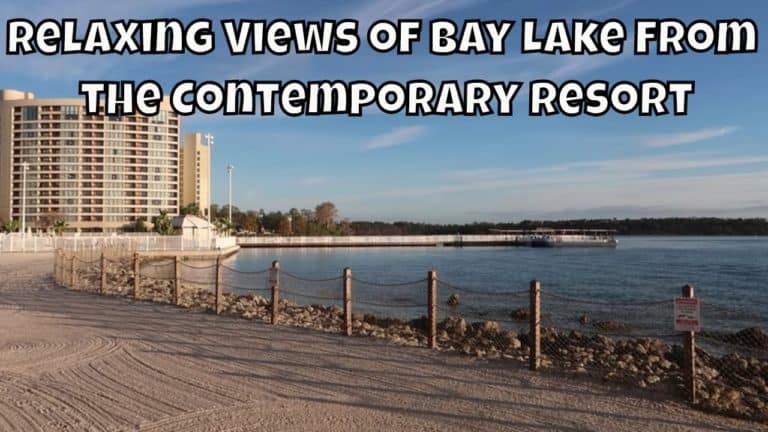 Relaxing Views of Bay Lake From the Contemporary Resort