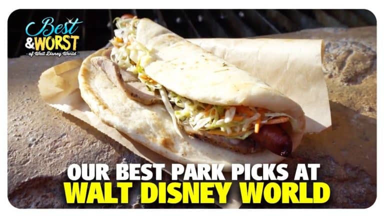 Our BEST Park Picks | Best & Worst of Walt Disney World - DIS Unplugged