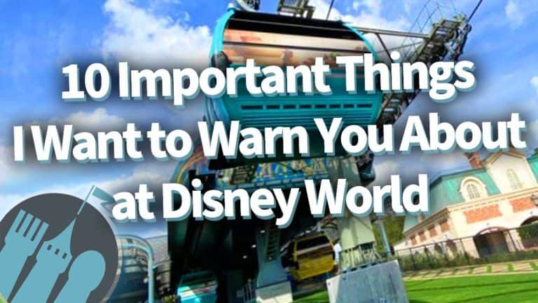 10 Important Things I Want to Warn You About at Disney World - Disney Food Blog