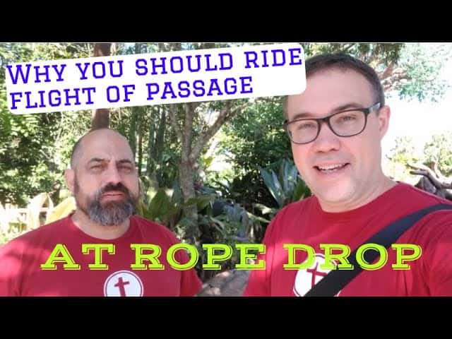 Why You Should Ride Flight of Passage at Park Opening - Touring Plans