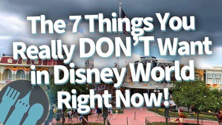The 7 Things You Really DON'T Want in Disney World Right Now - Disney Food Blog | Mouse and Castle