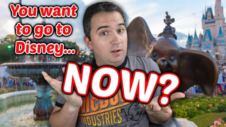 Going to Disney World - NOW? What you need to know | Mouse and Castle