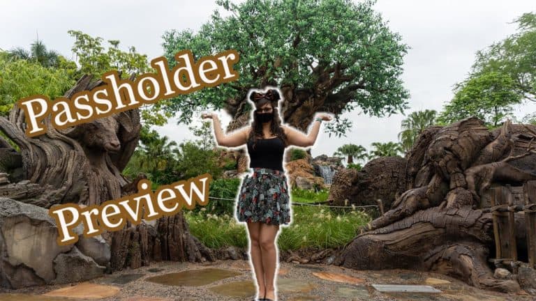 Is Animal Kingdom Ready for Reopen? - Princess and the Bear | Mouse and Castle