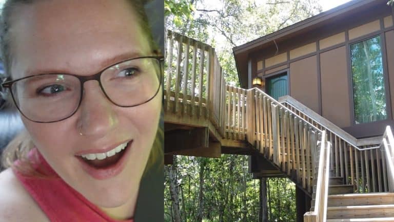 A Surprise Disney World Staycation -Treehouse Villas - The Tim Tracker | Mouse and Castle