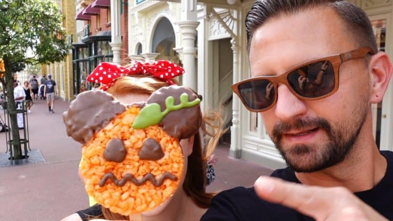 A Fun Day At Disney's Magic Kingdom! Cheeseburger Spring Rolls Are Back, A Carousel Ride