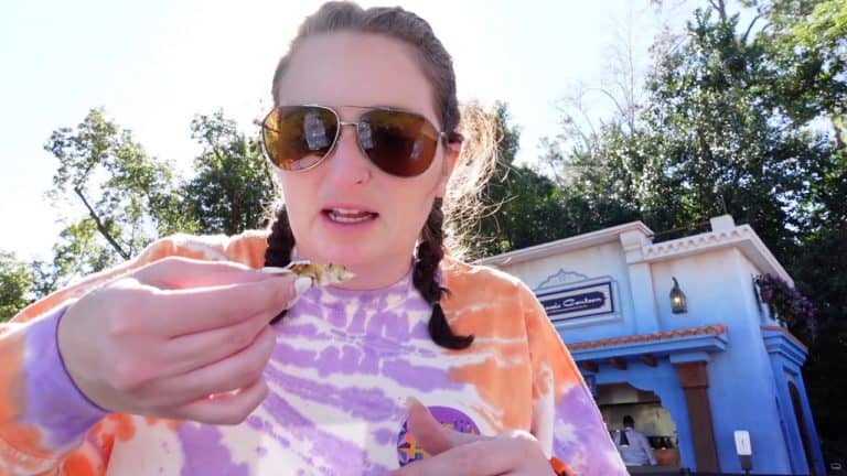 NEW Ratatouille Area in EPCOT!