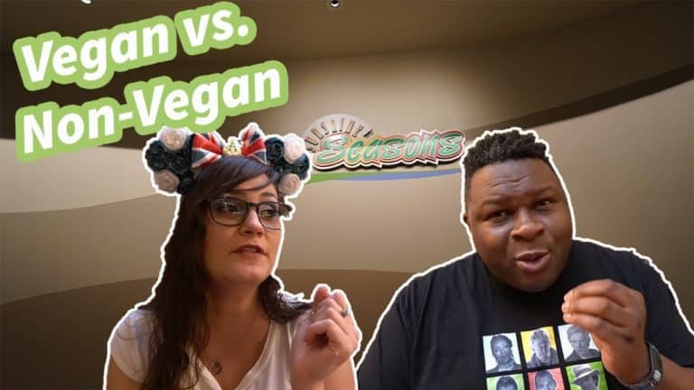 Sunshine Seasons | Vegan & non-vegan food review