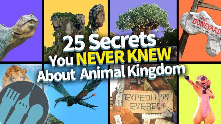 25 Secrets You Never Knew About Animal Kingdom
