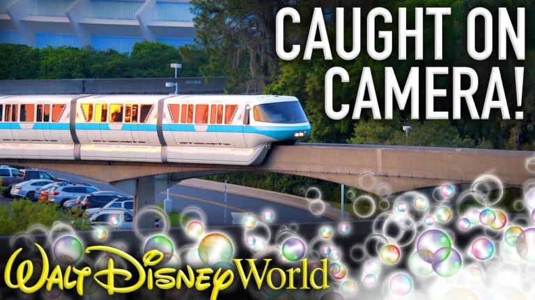 Disney Monorail TRACK CLEANING Caught on Camera!