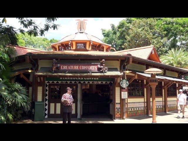 NEW Starbucks at Disney's Animal Kingdom - Creature Comforts