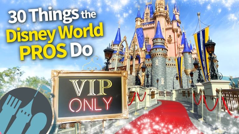 30 Things the Disney World Pros Do