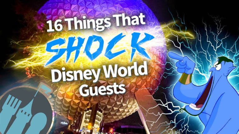 16 Little Things That SHOCK Disney World Guests