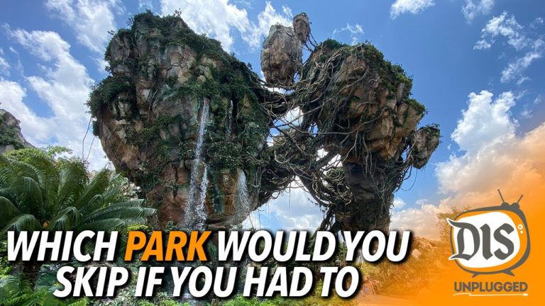 Which Walt Disney World Park Would You Skip If You Had To Pick One?