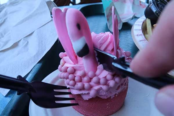 Animal Kingdom’s Birthday 2021 - Earth Day Cocktails & Cupcakes - Flame Tree Barbecue Lunch