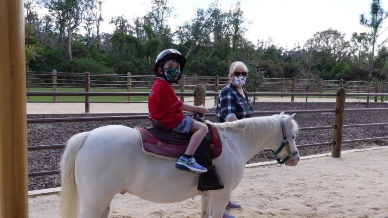 Tri-Circle-D Ranch & Pony Ride at Disney's Fort Wilderness Resort & Campground
